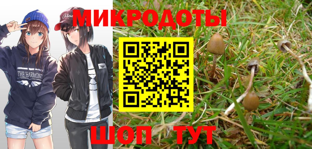 купить наркоту  Вход с VPN  Менделеевск  Галлюциногенные грибы Cubensis 