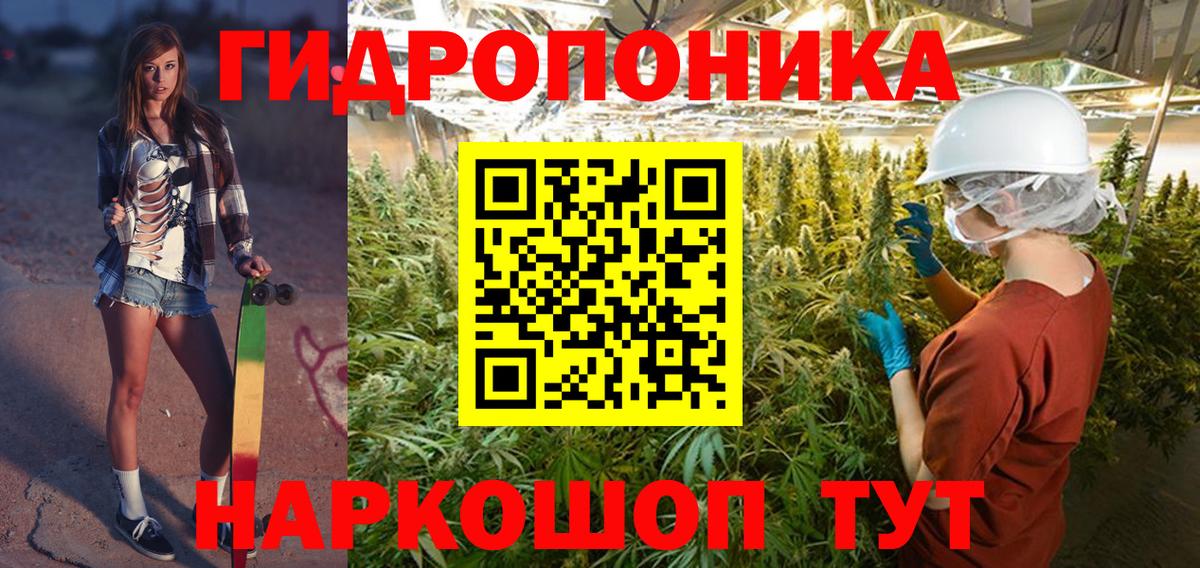 Конопля сатива Менделеевск